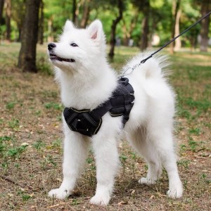 Многоцелевая нейлоновая шлейка для самоедской собаки «Tractive Force»